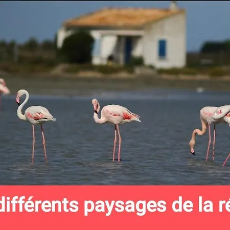 Et Ses Plages De Couchage Pour Dépanner Quelques Nuits Juste Pour Il N'y A Pas De Sanitaire Ni Cuisine Prévoir Batterie Externe,à 10 Minutes En Voiture Des Plages Et à 5 Minutes Du Centre-ville Glamping Montpellier