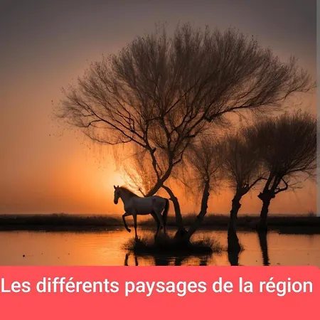 Et Ses Plages De Couchage Pour Dépanner Quelques Nuits Juste Pour Il N'y A Pas De Sanitaire Ni Cuisine Prévoir Batterie Externe,à 10 Minutes En Voiture Des Plages Et à 5 Minutes Du Centre-ville * Montpellier