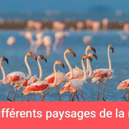 Lyxtält Et Ses Plages De Couchage Pour Depanner Quelques Nuits Juste Pour Il N'y A Pas De Sanitaire Ni Cuisine Prevoir Batterie Externe,a 10 Minutes En Voiture Des Plages Et A 5 Minutes Du Centre-ville *